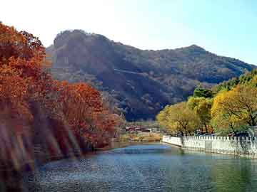 新澳门正版免费大全，汪鸿雁背景